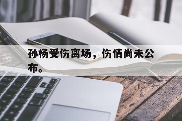 爱游戏平台官方官网-孙杨受伤离场，伤情尚未公布。