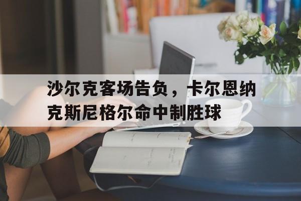 沙尔克客场告负，卡尔恩纳克斯尼格尔命中制胜球